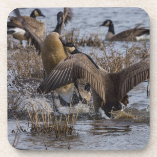 Dessous-de-verre Désactiver