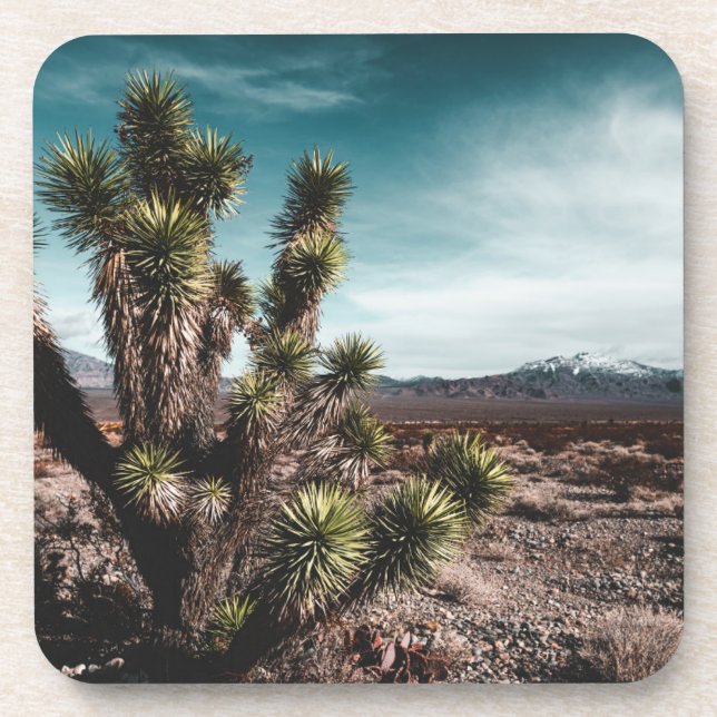Dessous-de-verre Deserts | Cholla (Devant)