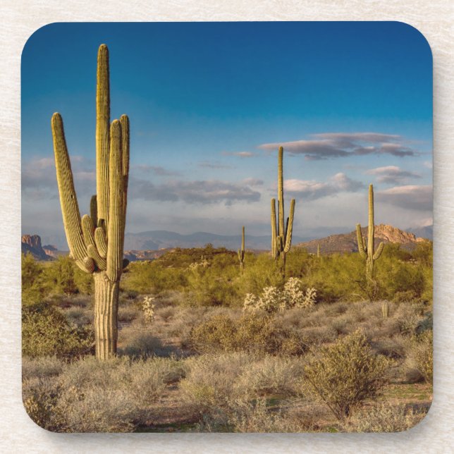 Dessous-de-verre Deserts | Superstition Mountains, Arizona (Devant)
