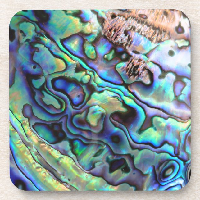 Dessous-de-verre Détail de la coquille de Paua (Devant)
