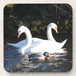 Dessous-de-verre Deux cygnes et un canard