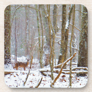 Dessous-de-verre Doe dans la neige, Deer dans le lac Arrowhead
