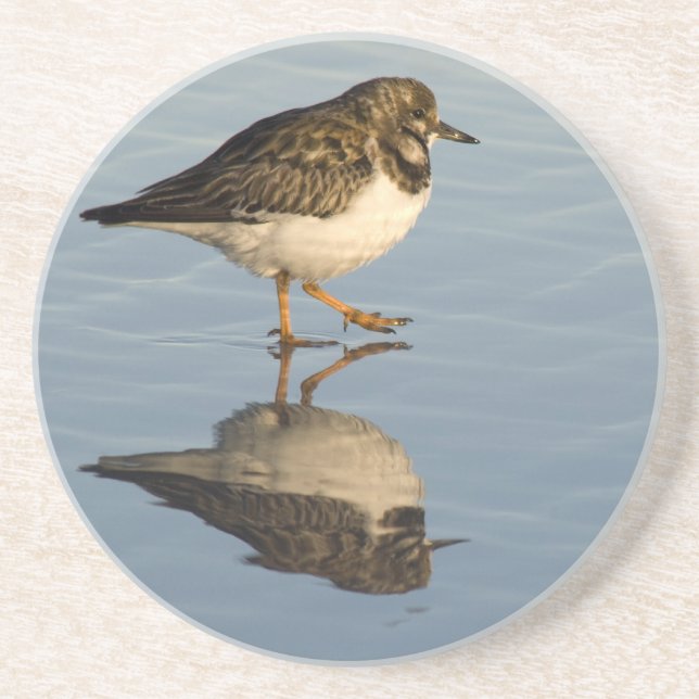 Dessous de verre d'oiseau de bécasseau (Devant)