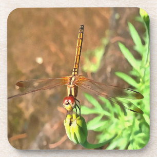 Dessous-de-verre Dragonfly Artistique Reposant Sur Une Tête De Fleu