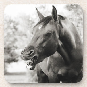 Dessous-de-verre Drôle Cheval de Rire