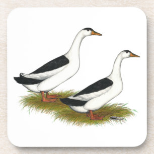 Dessous-de-verre Ducks : Black Magpies