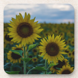 Dessous-de-verre Duo de tournesol près