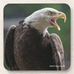 Dessous-de-verre Eagle chauve appelle