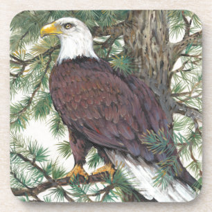 Dessous-de-verre Eagle chauve sur la branche