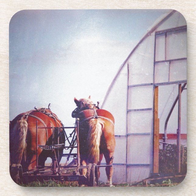 Dessous-de-verre Ébauche Chevaux Prêt Pour Le Travail (Devant)