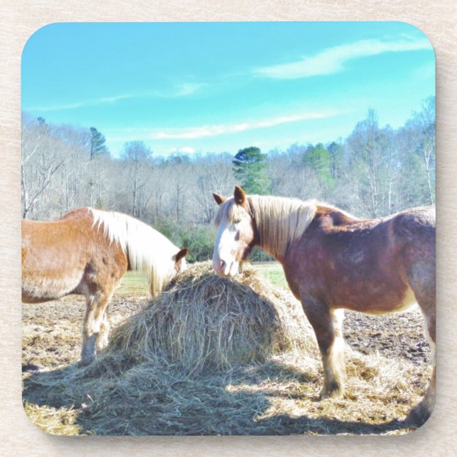 Dessous-de-verre Ébauche secourue Chevaux mangeant foin (Devant)