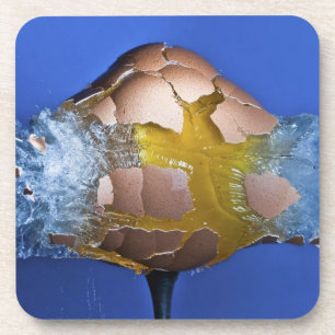 Dessous-de-verre Eggceptional