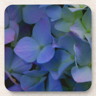 Dessous-de-verre Élégant bleu pourpre bleu pourpre floral