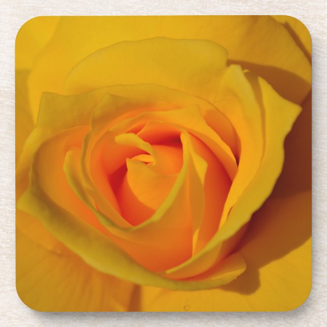 Dessous-de-verre Élégante fleur florale Rose jaune (Devant)