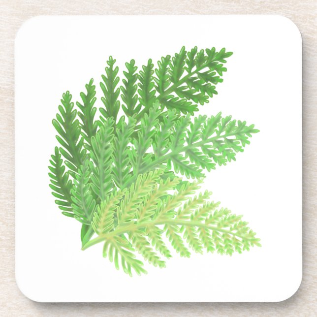 Dessous-de-verre Élégante fougères vertes feuilles de bois (Devant)