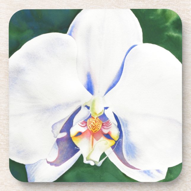 Dessous-de-verre Elégante peinture d'orchidée blanche (Devant)