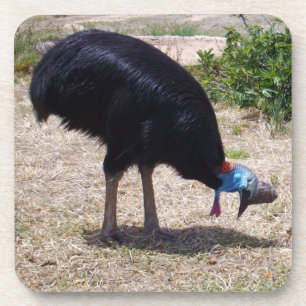 Dessous-de-verre Éliminateur de bogues d'oiseaux de Cassowary,