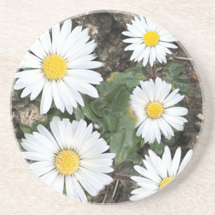 Dessous De Verre En Grès 5e anniversaire, bois et marguerites