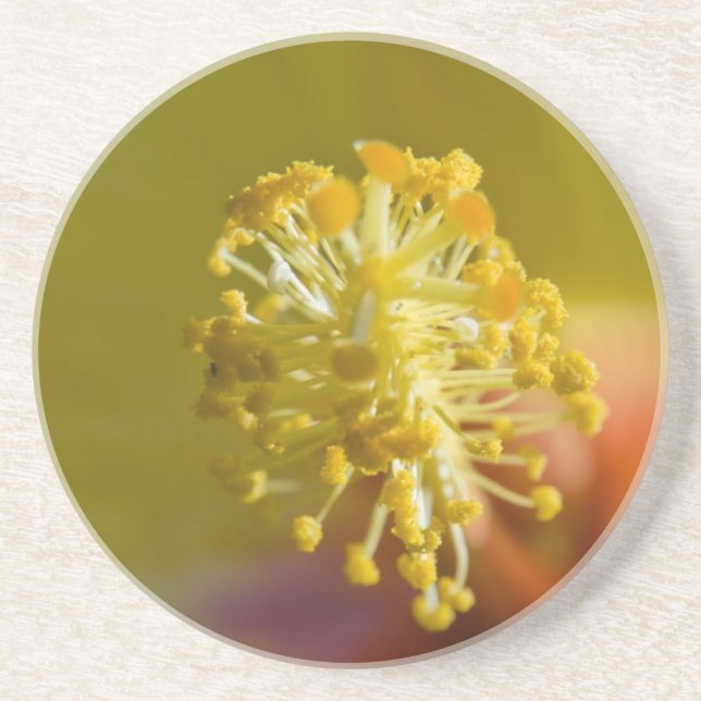 Dessous De Verre En Grès À l'intérieur d'un Hibiscus hawaïen jaune (Devant)