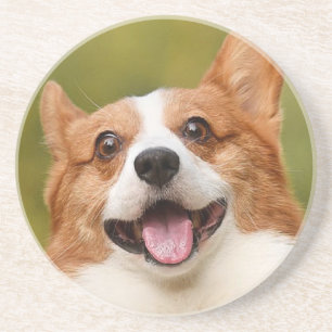 Dessous De Verre En Grès Ajouter photo de chien personnalisé Customisé