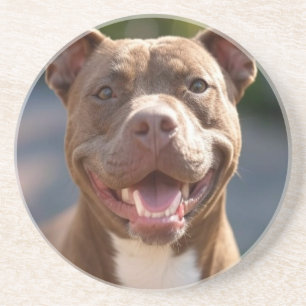Dessous De Verre En Grès Ajouter une Personnaliser photo Pit Bull