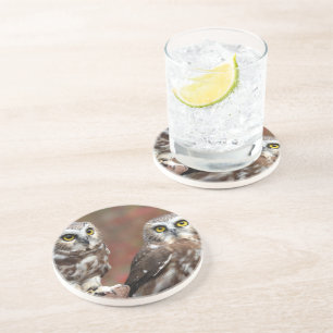 Dessous De Verre En Grès Amis