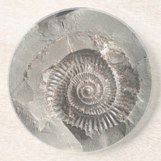 Dessous De Verre En Grès Ammonite de Dactylioceras dans la roche