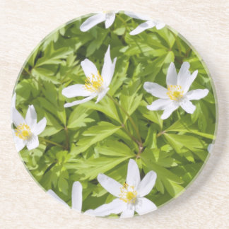 Dessous De Verre En Grès Anémone en bois