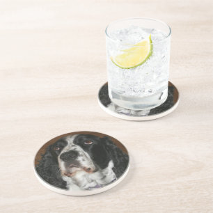 Dessous De Verre En Grès Anglais Springer Spaniel Pet Photo Sandstone