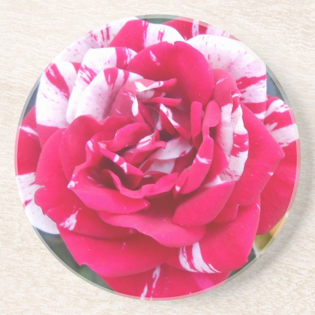 Dessous De Verre En Grès Anicia (Devant)