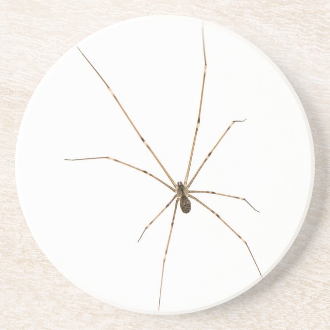 Dessous De Verre En Grès Araignée (Devant)