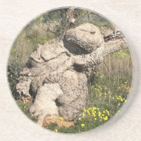 Arbre d'olive en position Yoga