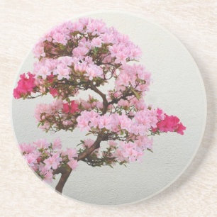 Dessous De Verre En Grès Arbre rose bonsaï
