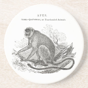 Dessous De Verre En Grès Art singe vintage des années 1800
