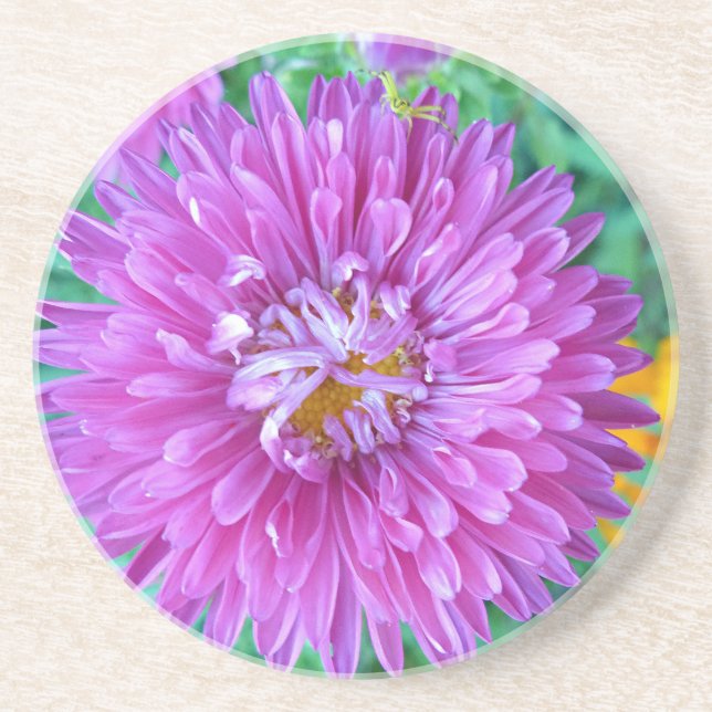 Dessous De Verre En Grès Aster avec araignée de crabe (Devant)