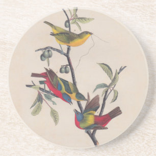 Dessous De Verre En Grès Audubon Peint Bunting Bird Wildlife