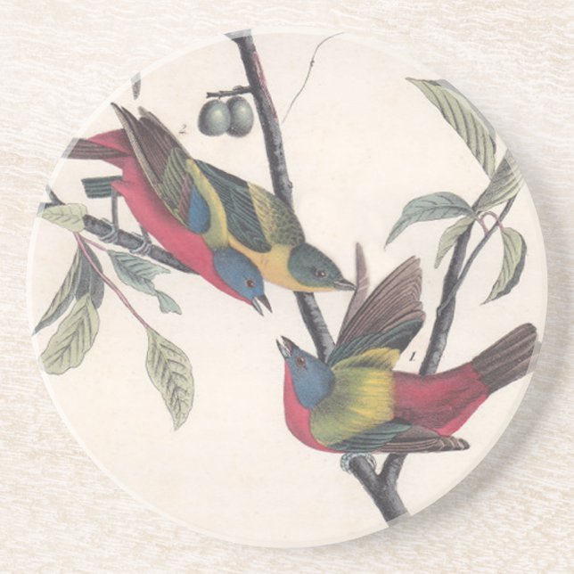Dessous De Verre En Grès Audubon Peint Bunting Bird Wildlife (Devant)