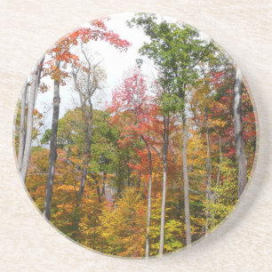Dessous De Verre En Grès Automne dans la forêt Colorée Photographie d'autom