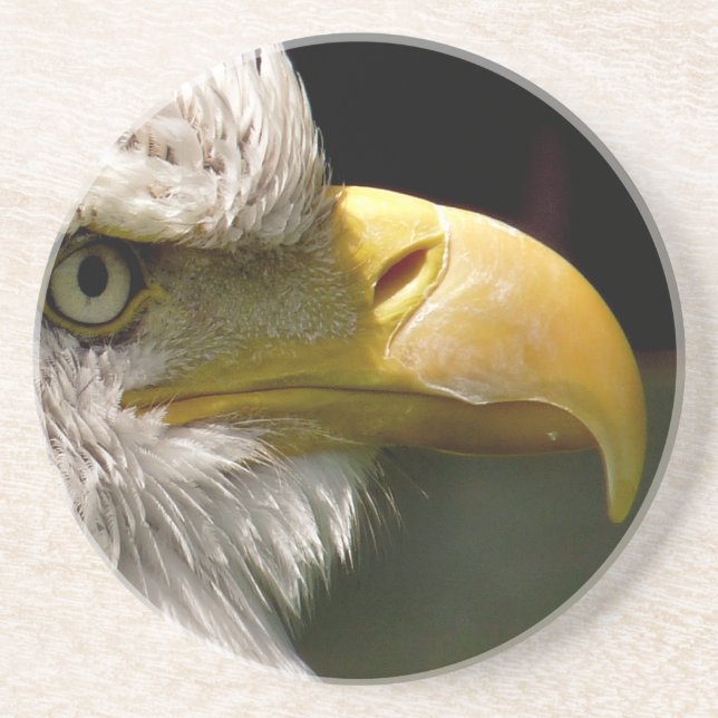DESSOUS DE VERRE EN GRÈS BALD EAGLE (Devant)