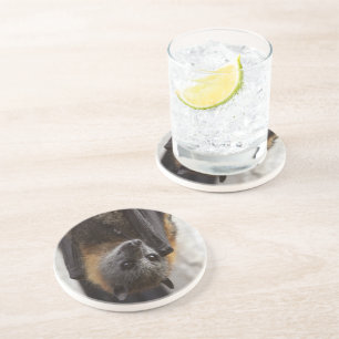 Dessous De Verre En Grès Batte australienne