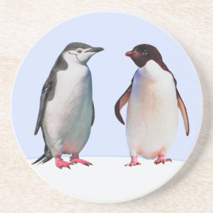 Dessous De Verre En Grès Beau couple d'oiseaux de pingouin sur bleu clair