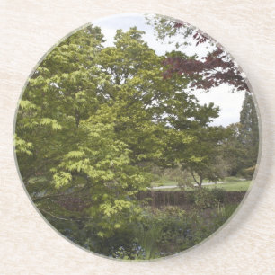 Dessous De Verre En Grès Beau jardin botanique.