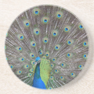 Dessous De Verre En Grès Beau Peacock