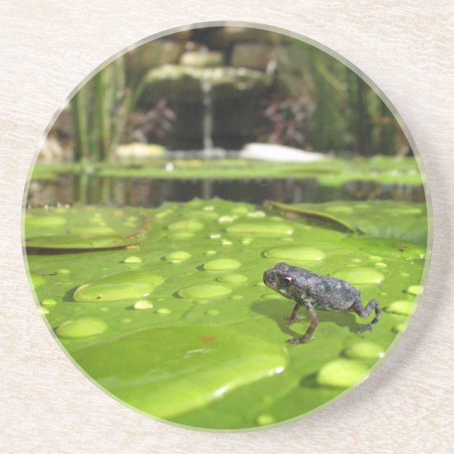 Dessous De Verre En Grès Bébé crapaud dans l'étang (Devant)