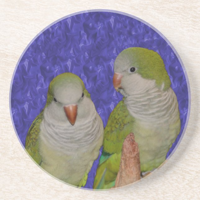 Dessous De Verre En Grès Bébé Quaker Parrots Animal (Devant)
