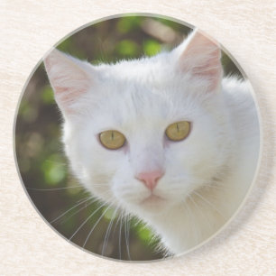 Dessous De Verre En Grès Belle Chat Blanc