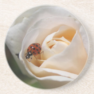 Dessous De Verre En Grès belle rose blanche fleur et coccinelle