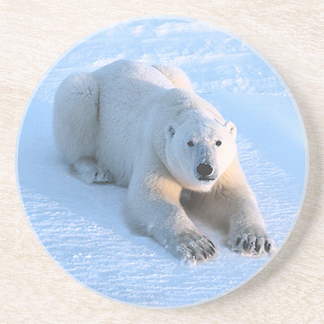 Dessous De Verre En Grès Bleu de l'ours polaire (Devant)