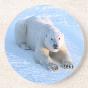 Dessous De Verre En Grès Bleu ours polaire