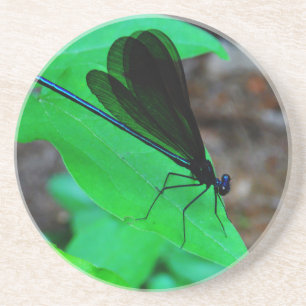 Dessous De Verre En Grès Blue Damselfly on a green leaf.